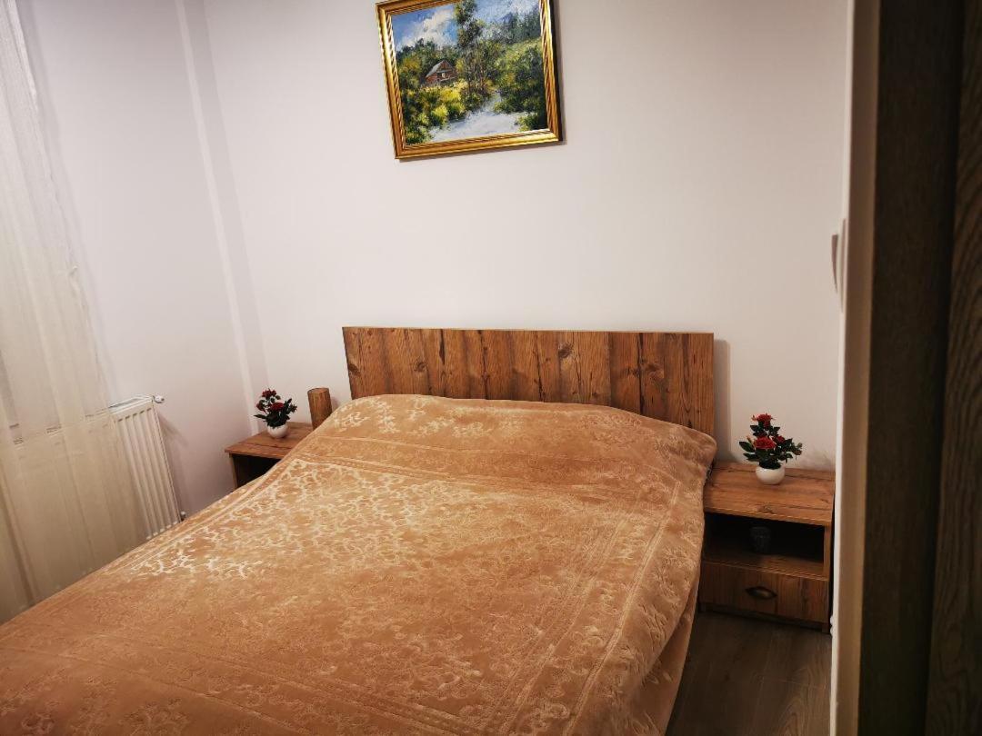 Violet Residence Târgu-Mureş Extérieur photo