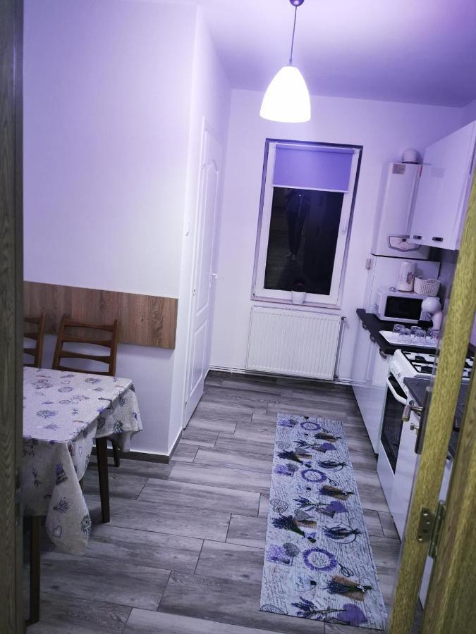 Violet Residence Târgu-Mureş Extérieur photo