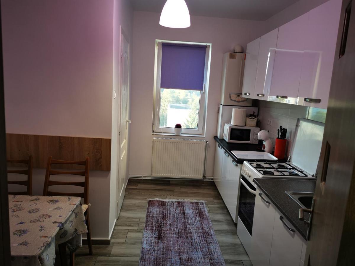 Violet Residence Târgu-Mureş Extérieur photo